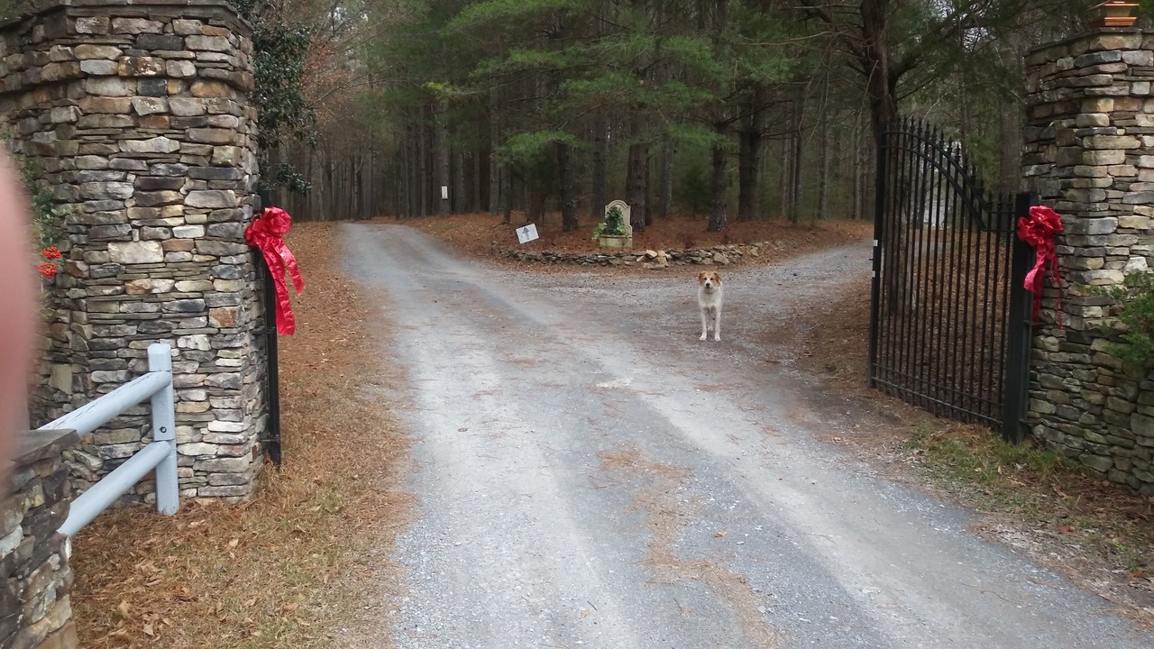 Photo of Others in Rockmart