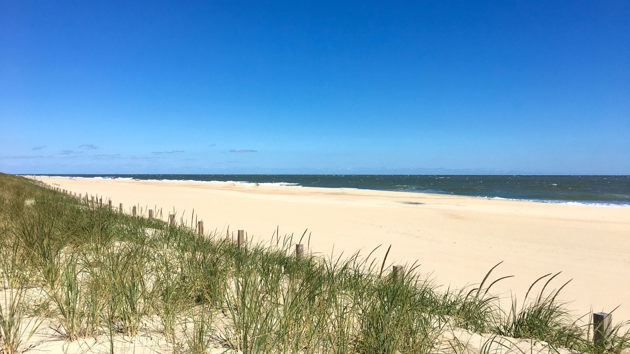 Photo of Others in North Ocean City