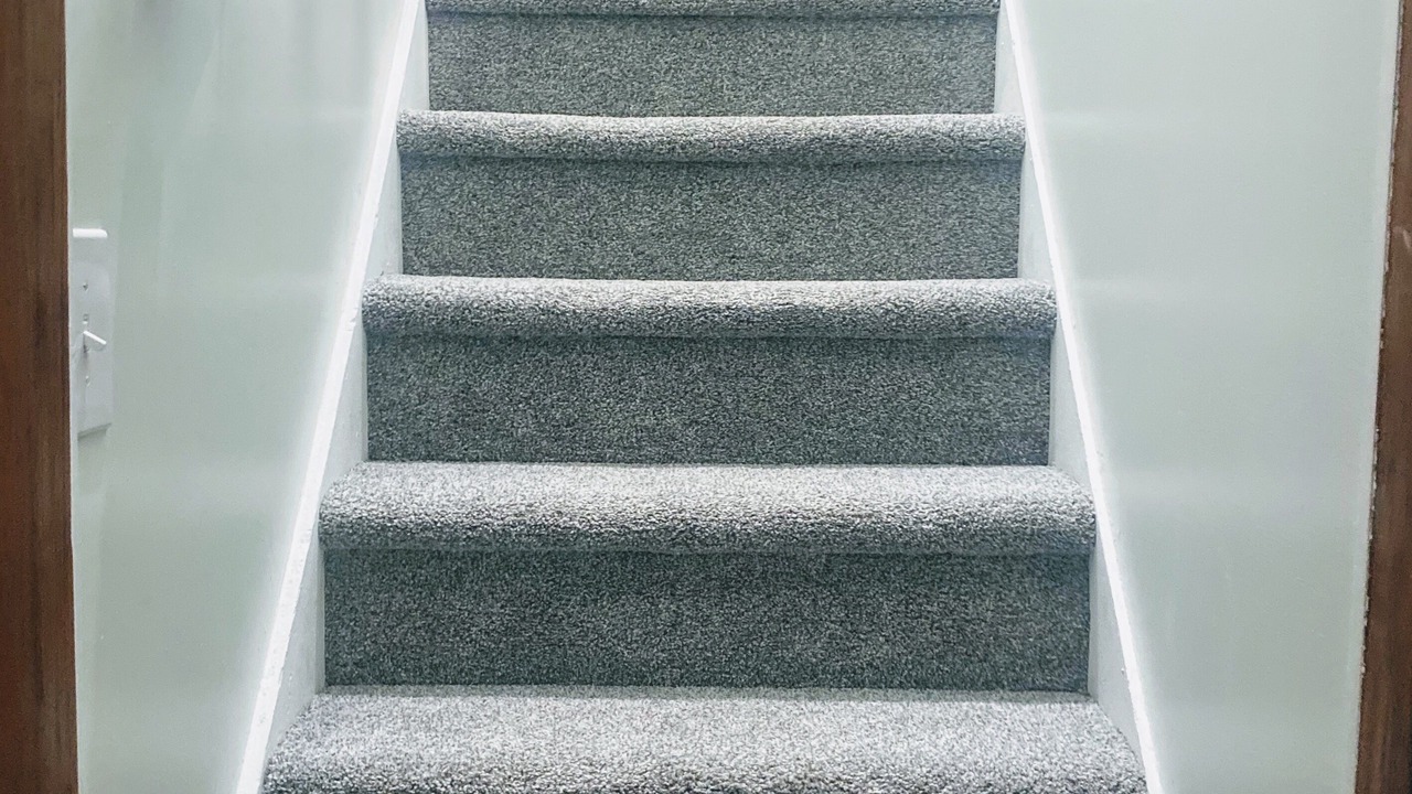 Photo of Others in Hamilton