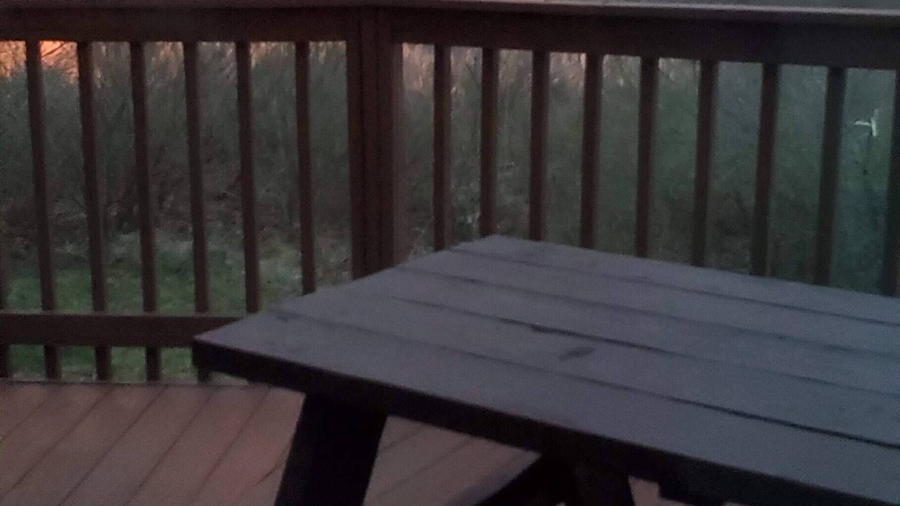 Photo of Outdoor in Shady Side
