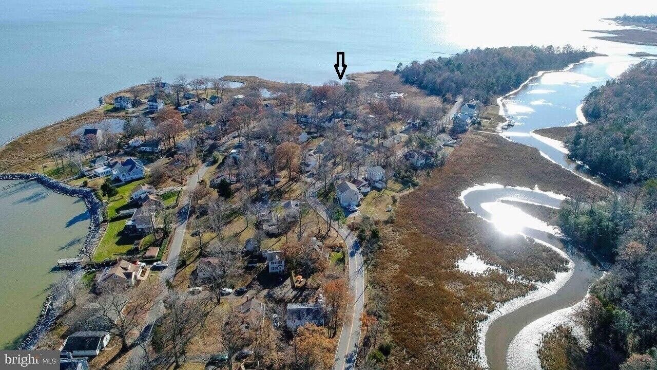 Photo of Others in Shady Side
