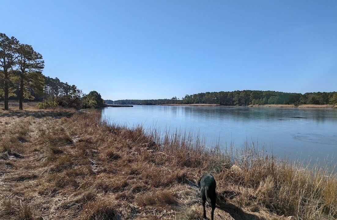 Photo of Others in Taylors Island