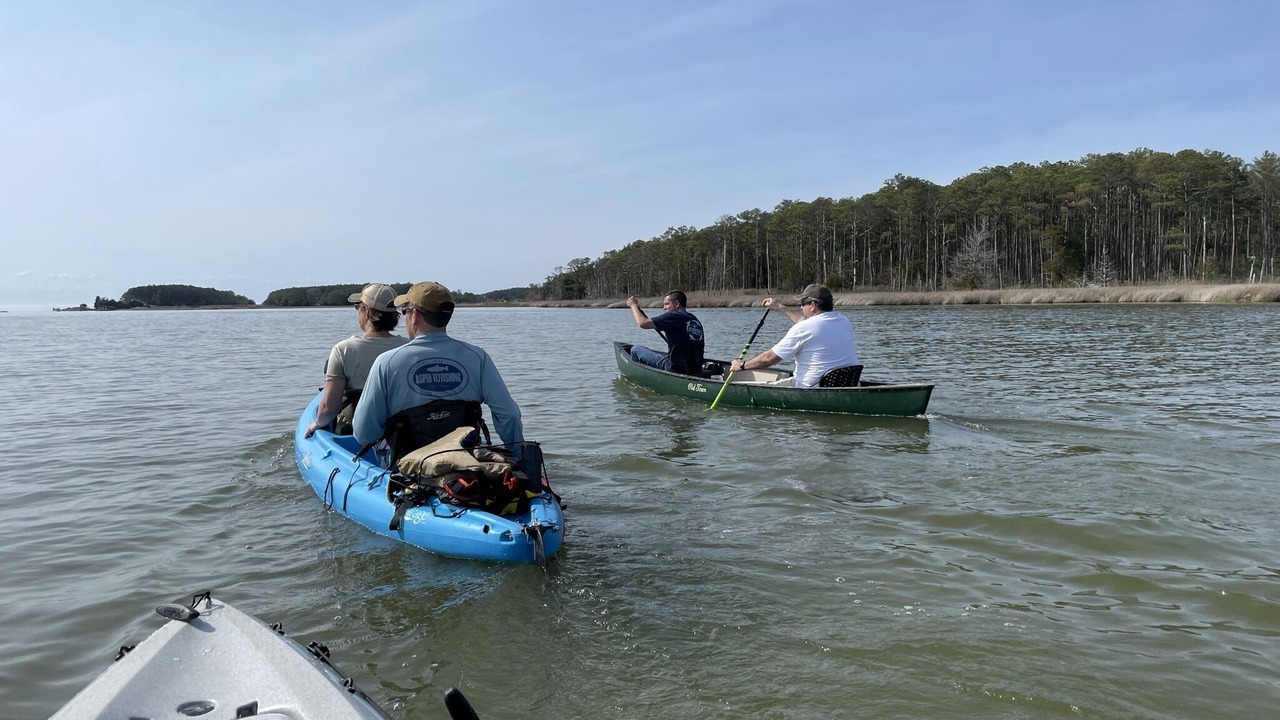 Photo of Others in Taylors Island