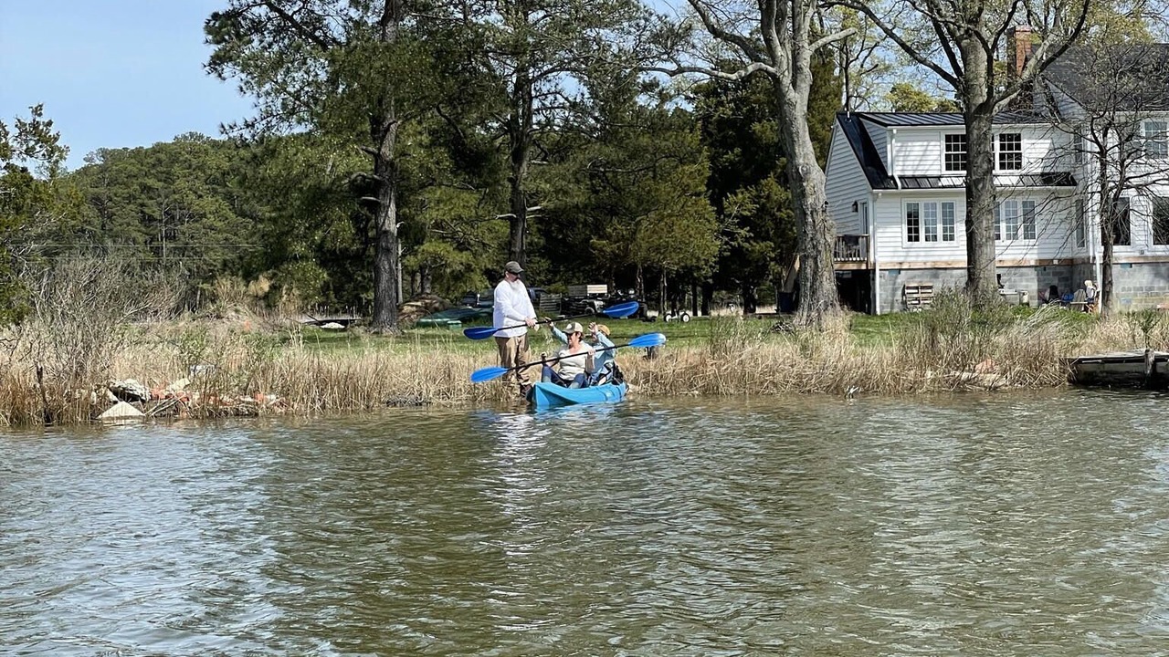 Photo of Others in Taylors Island