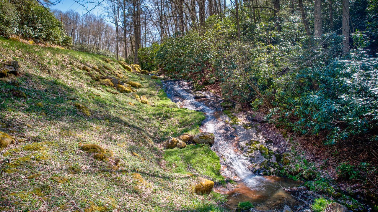 Photo of Outdoor in Elk Park