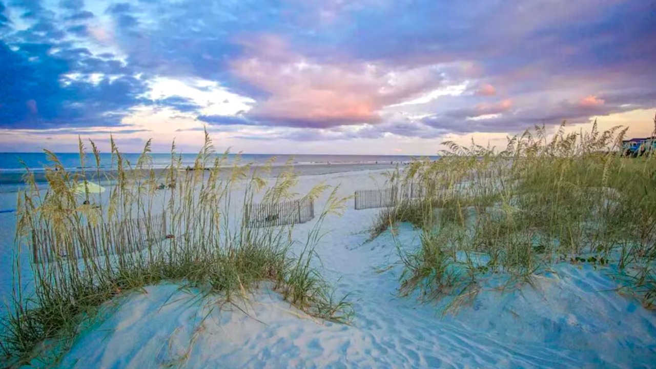Photo of Others in Palmetto Dunes