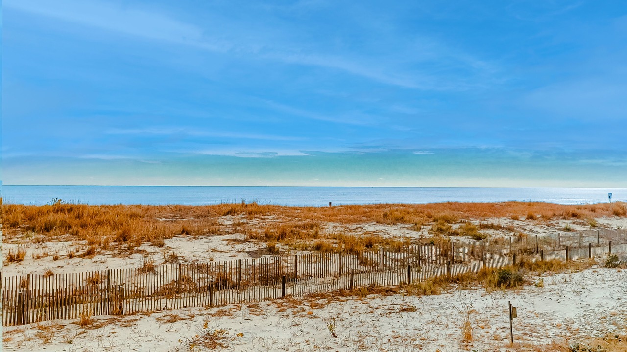 Photo of Others in Midtown Ocean City