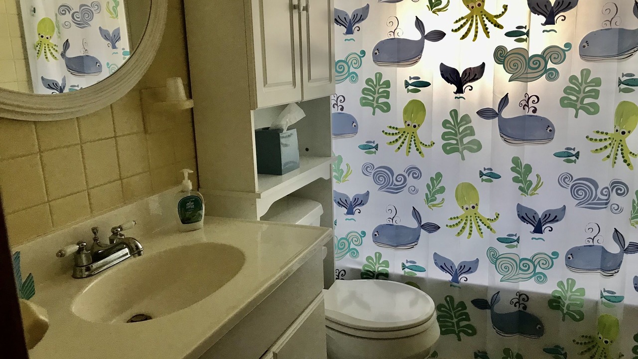 Photo of Bathroom in Dewey Beach