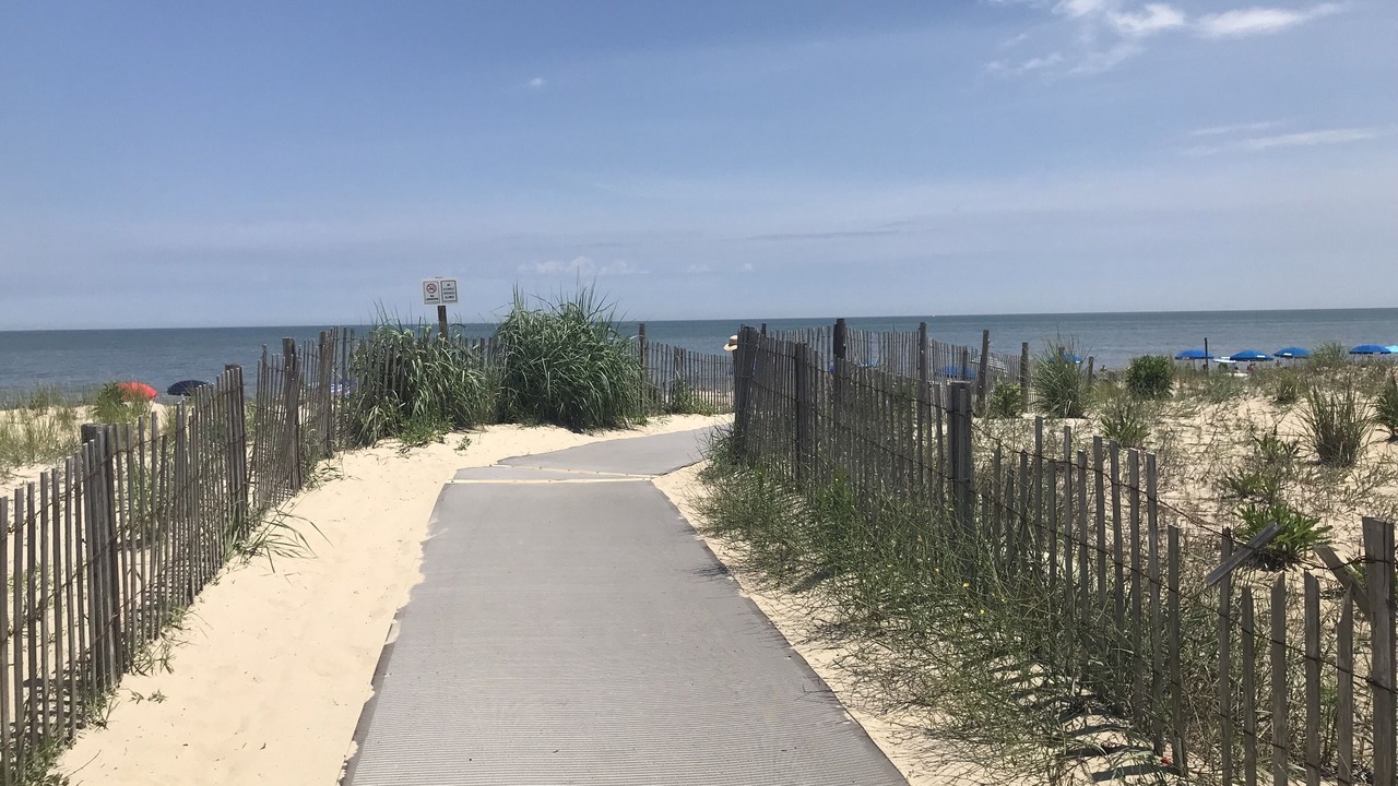 Photo of Others in Dewey Beach