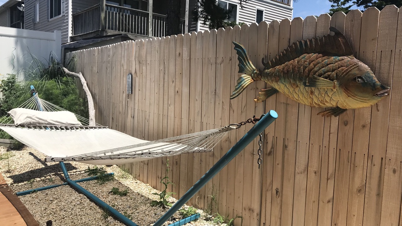 Photo of Outdoor in Dewey Beach