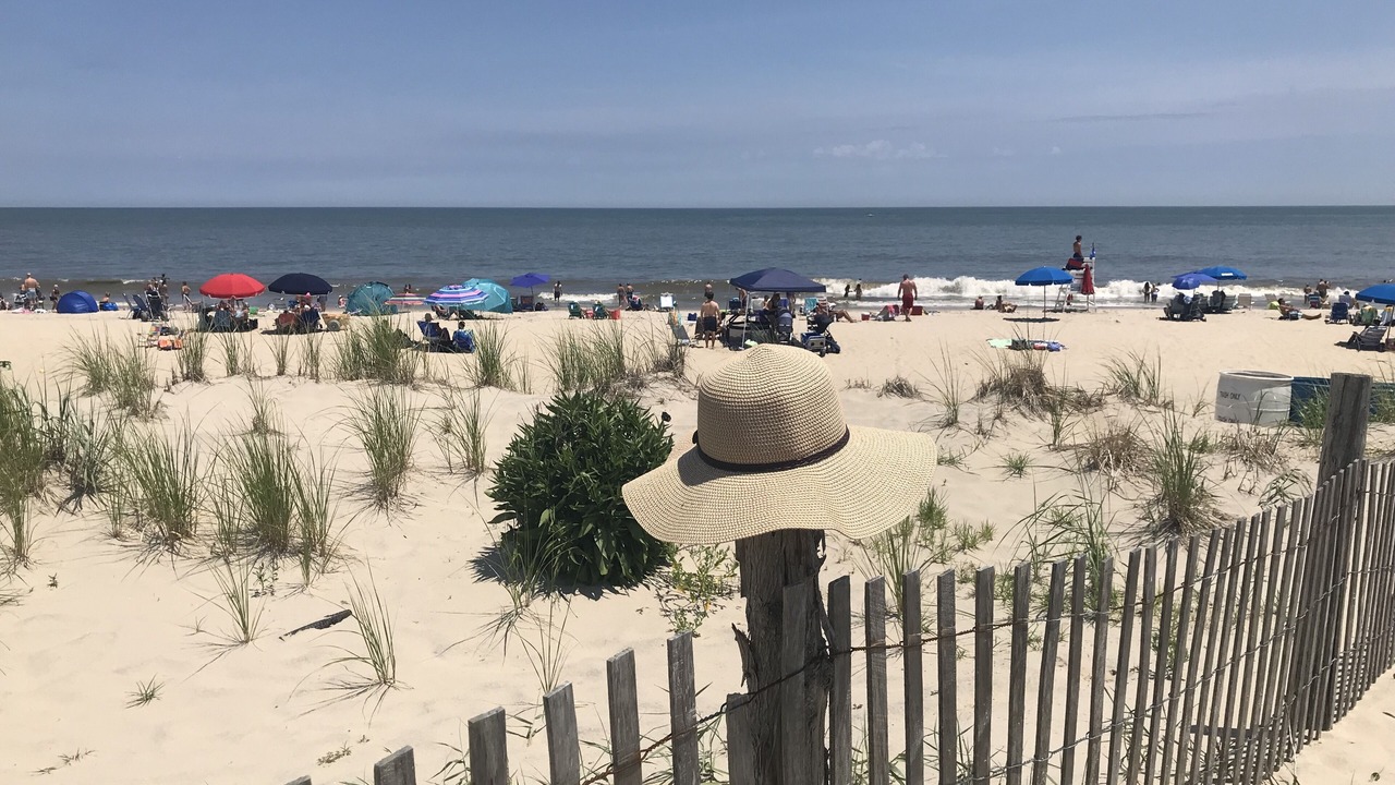 Photo of Others in Dewey Beach