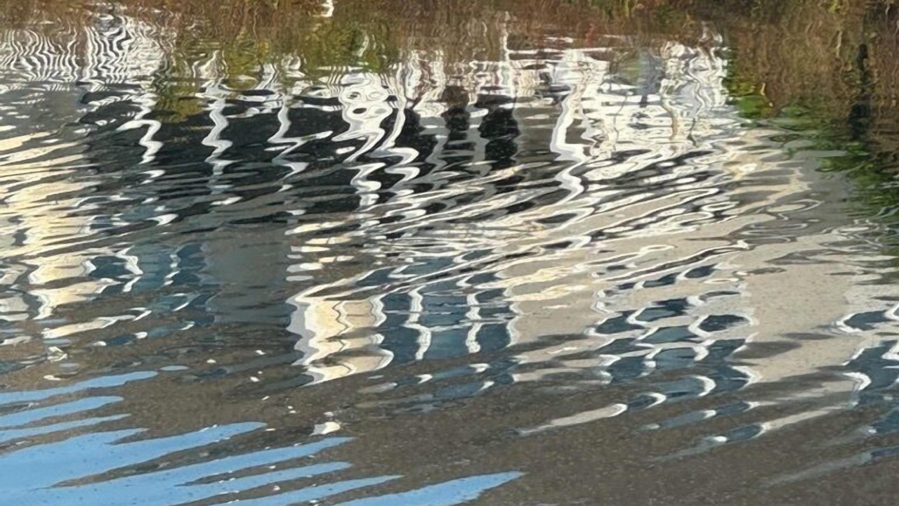 Photo of Others in Lewes