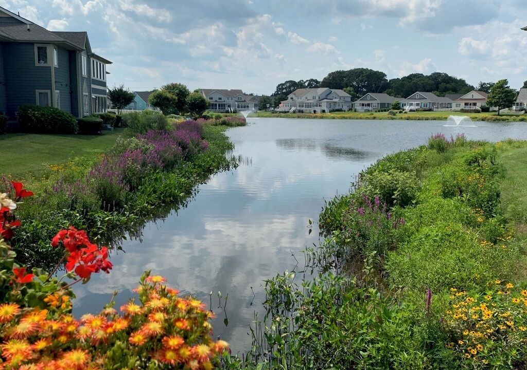 Photo of Outdoor in Lewes