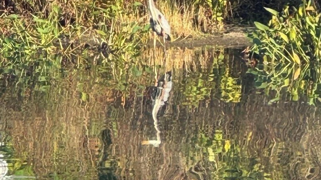 Photo of Others in Lewes