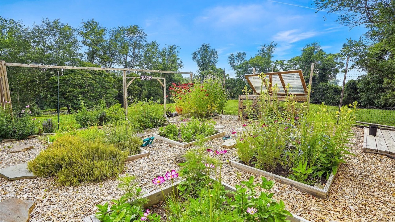 Photo of Outdoor in Middleburg