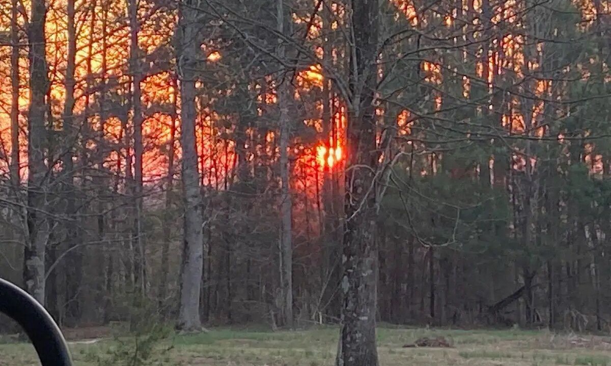 Photo of Outdoor in Blountsville