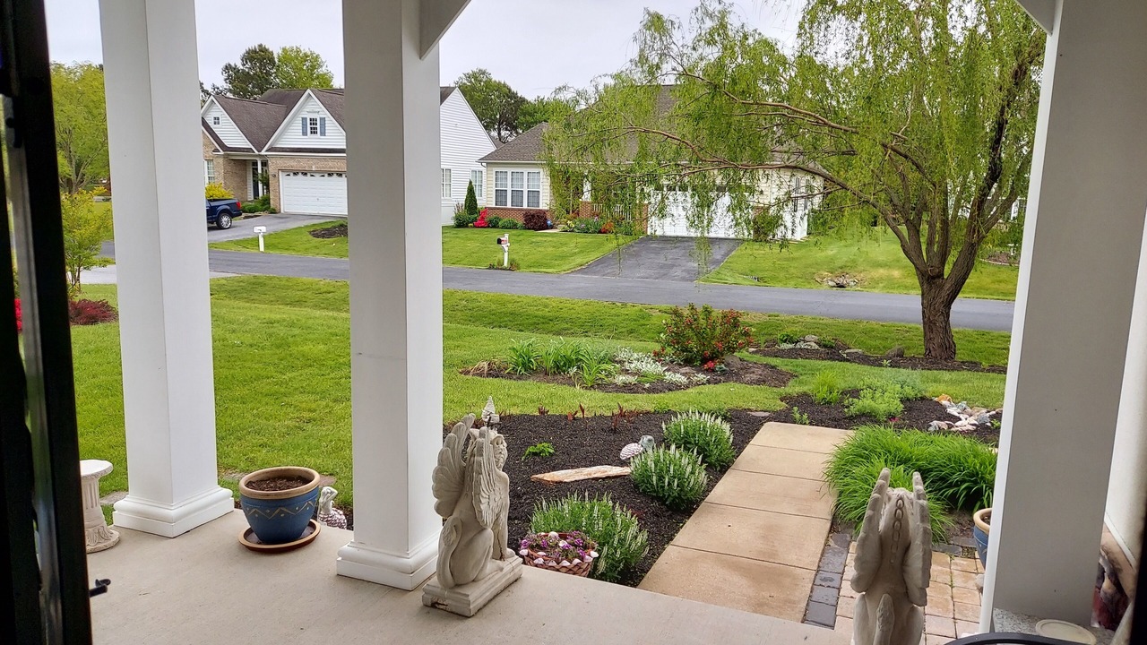 Photo of Outdoor in Wedgefield