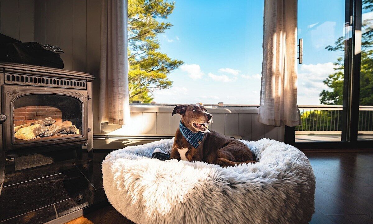 Photo of Livingroom in Free Union
