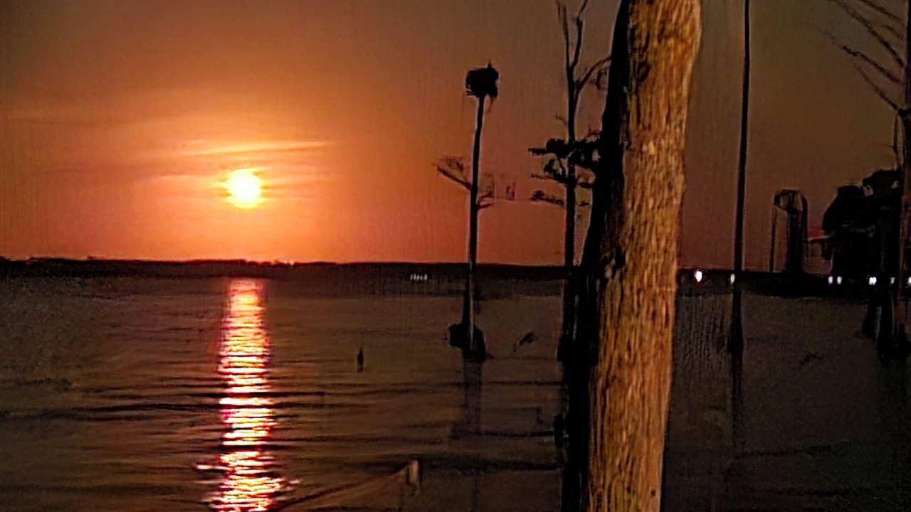 Photo of Outdoor in Durants Neck