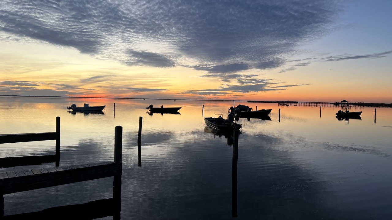 Photo of Others in Corolla Light