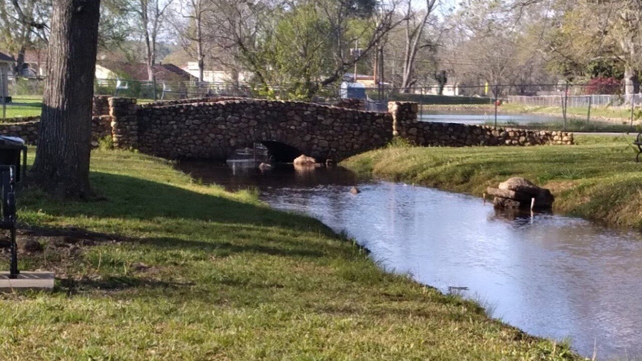 Photo of Others in Cave Spring