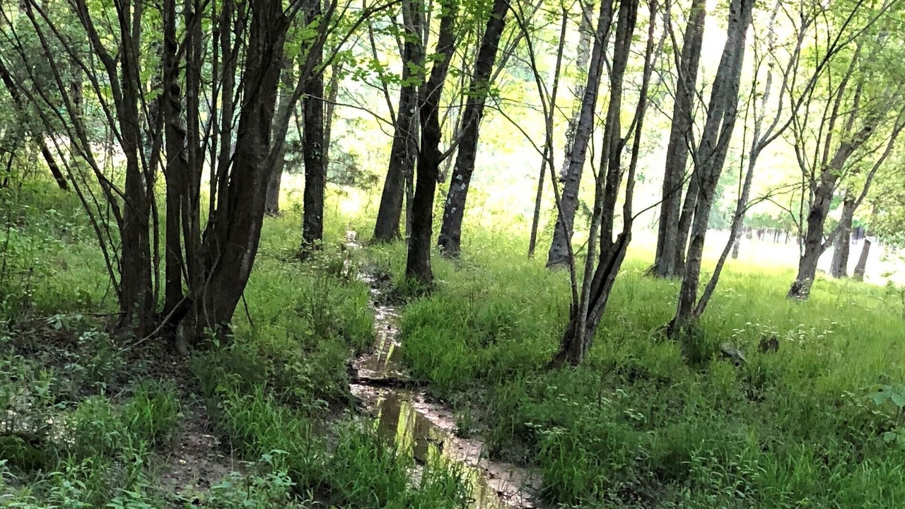 Photo of Outdoor in Bynum