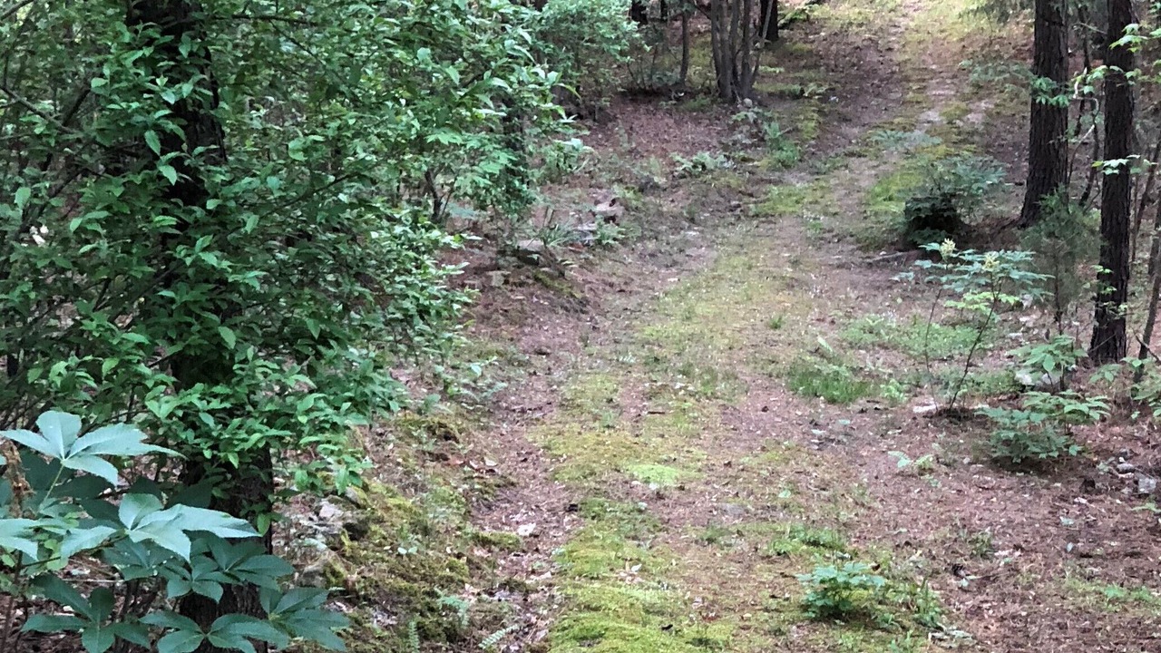 Photo of Outdoor in Bynum