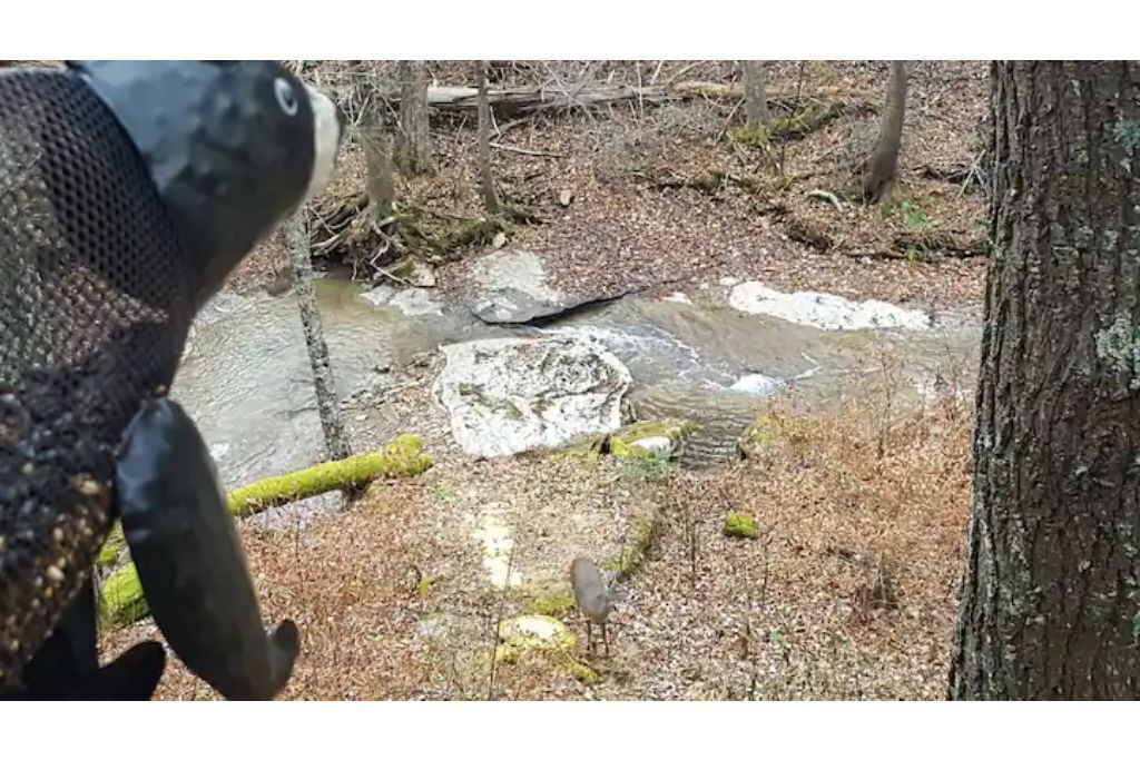 Photo of Outdoor in Beech Mountain
