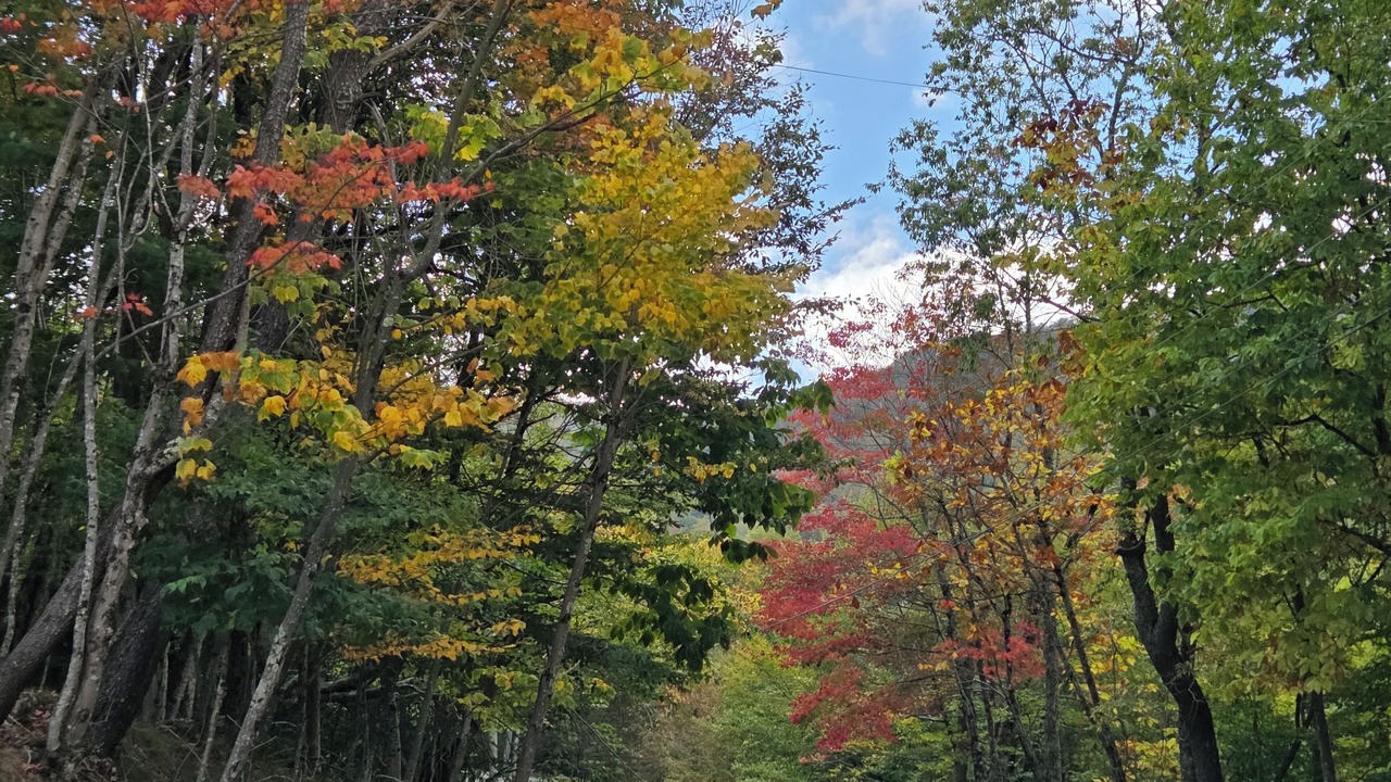 Photo of Others in Beech Mountain