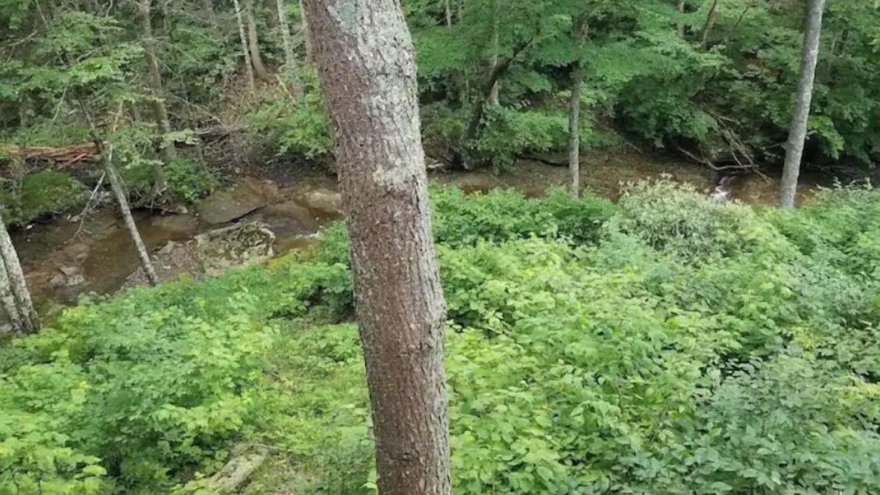 Photo of Outdoor in Beech Mountain