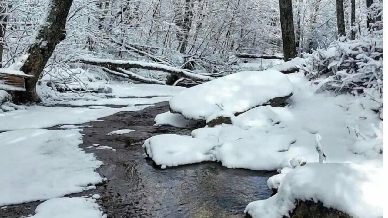 Photo of Others in Beech Mountain