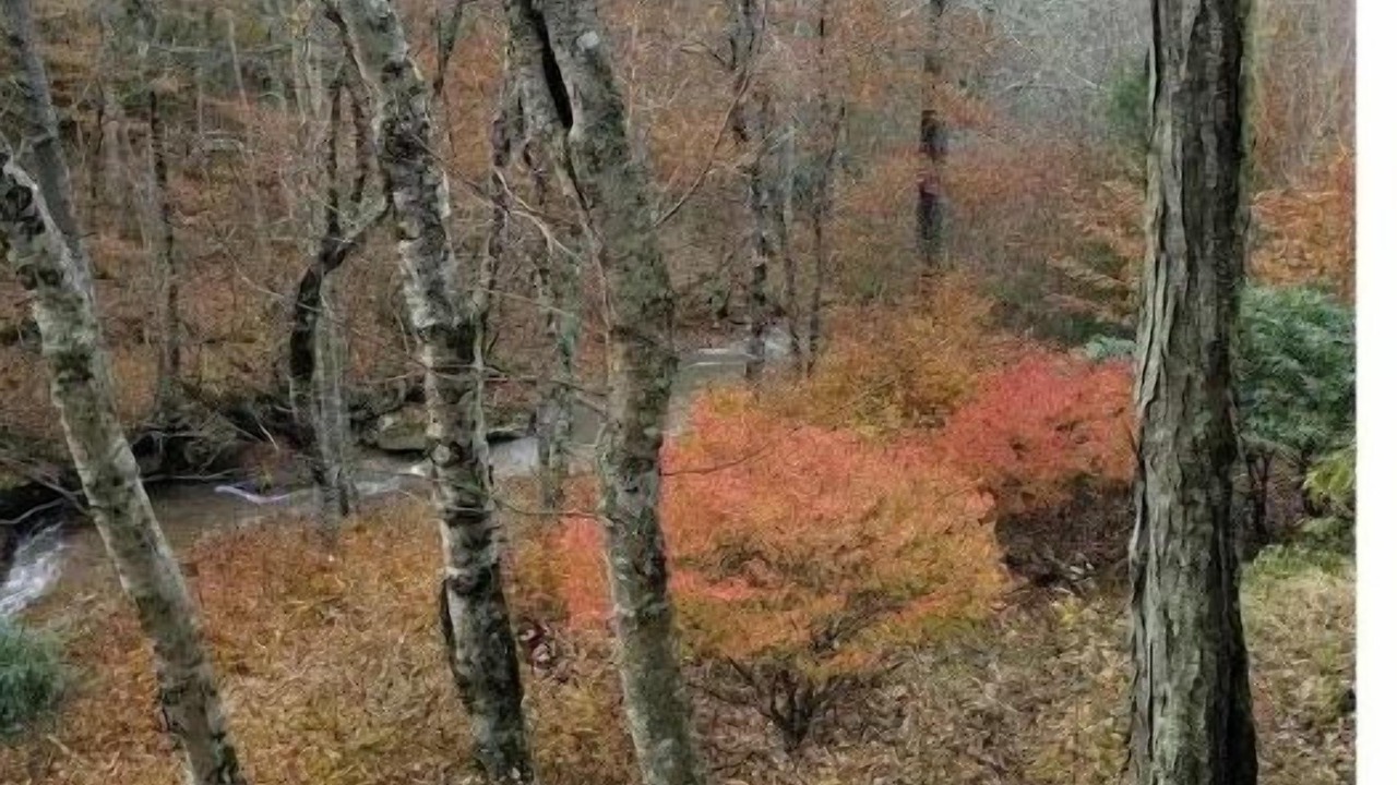 Photo of Others in Beech Mountain