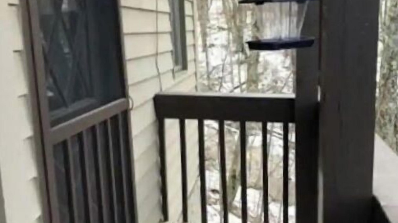 Photo of Outdoor in Beech Mountain