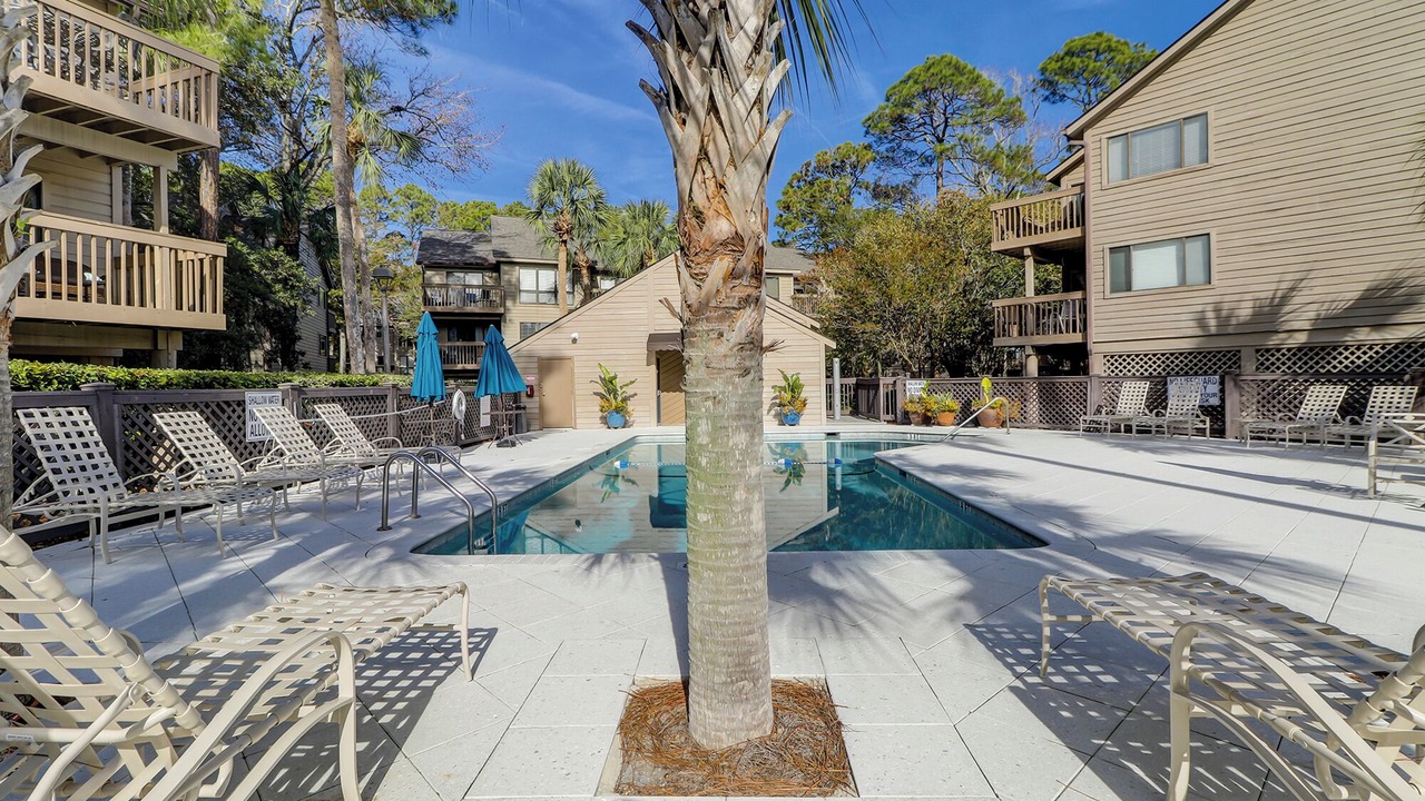Photo of Outdoor in Palmetto Dunes