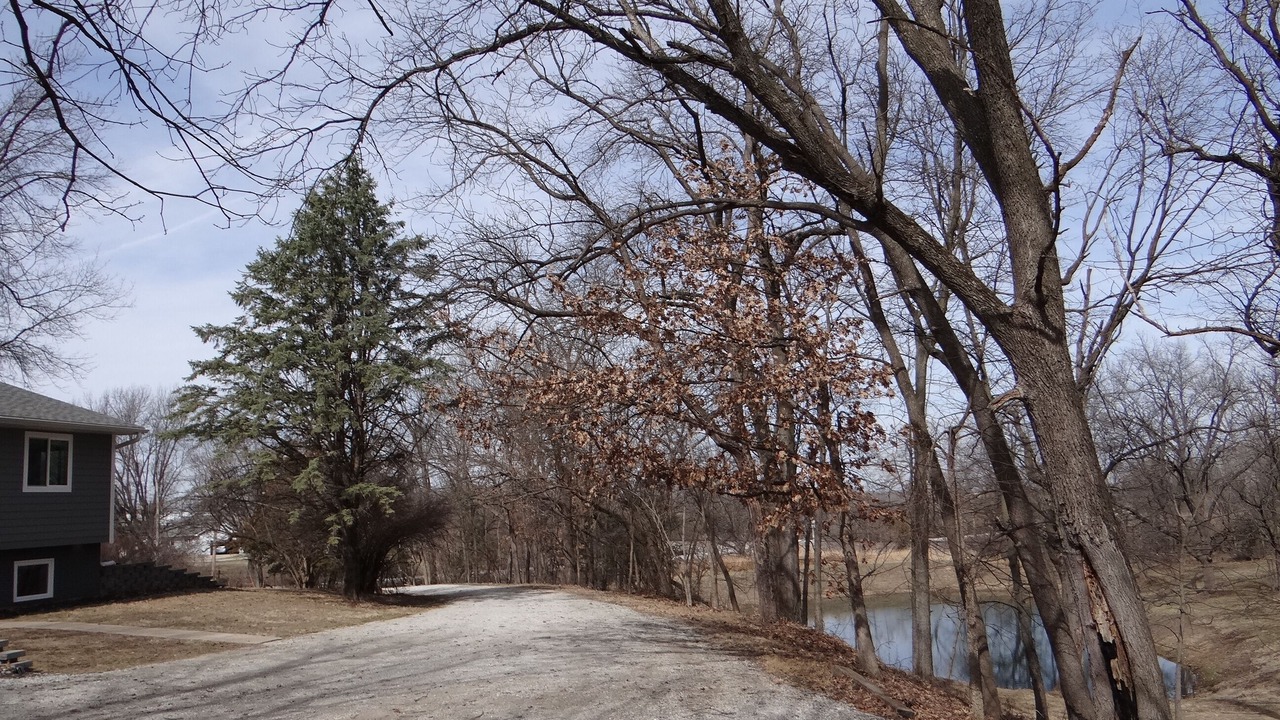 Photo of Outdoor in Knoxville