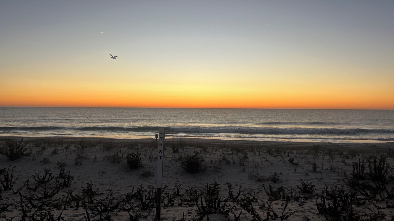 Photo of Others in Beach Haven