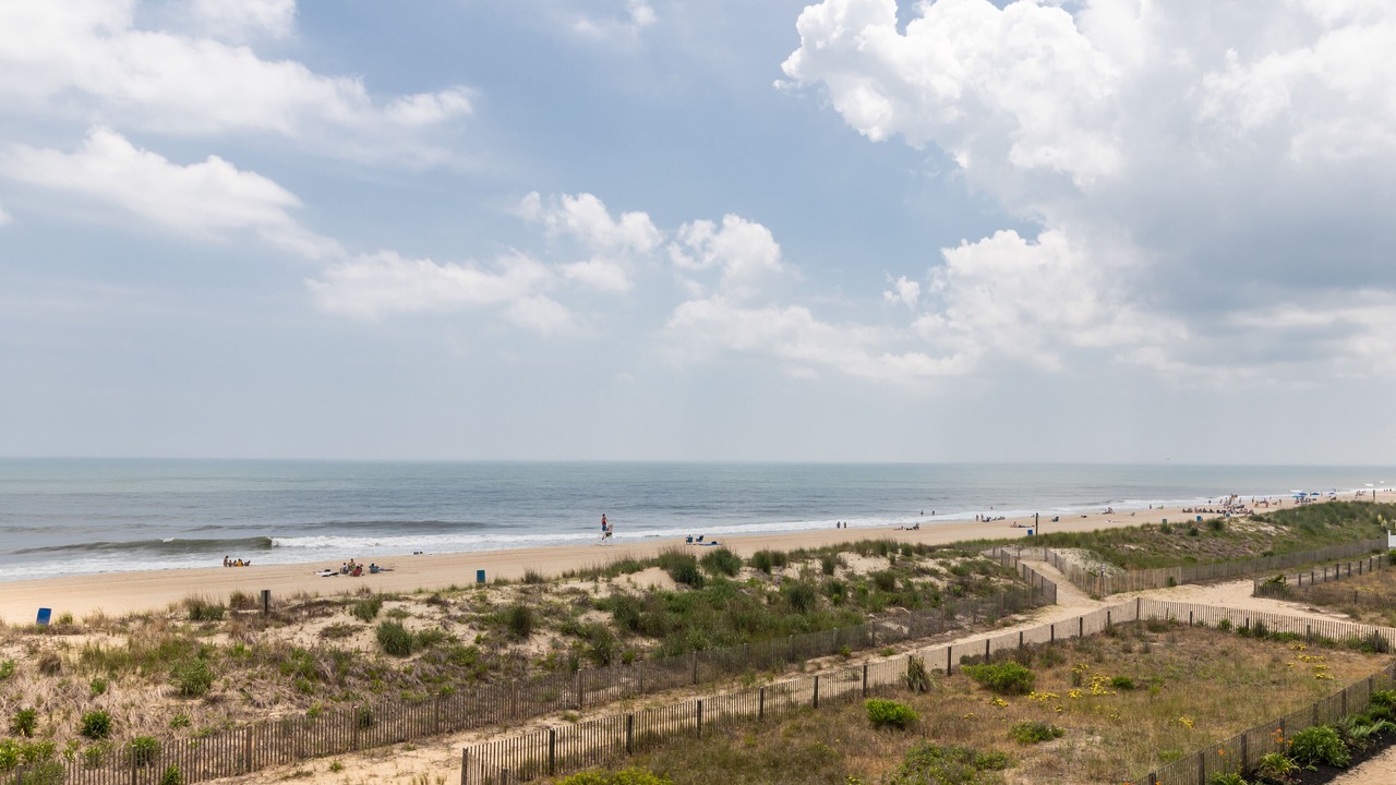 Photo of Others in Midtown Ocean City