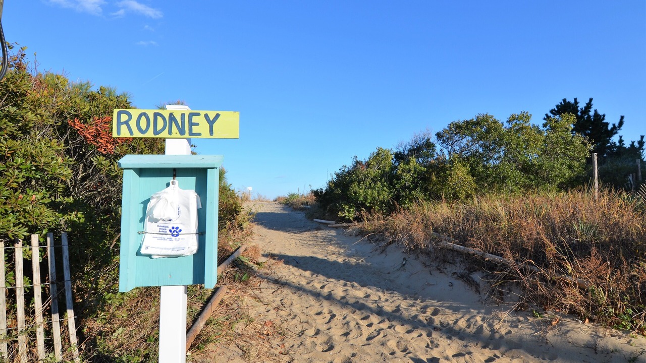 Photo of Outdoor in Dewey Beach