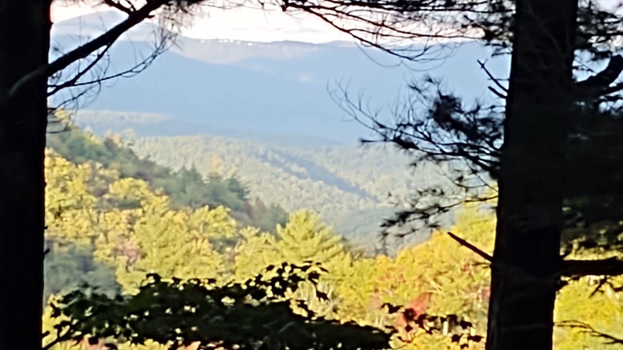 Photo of Outdoor in Newland
