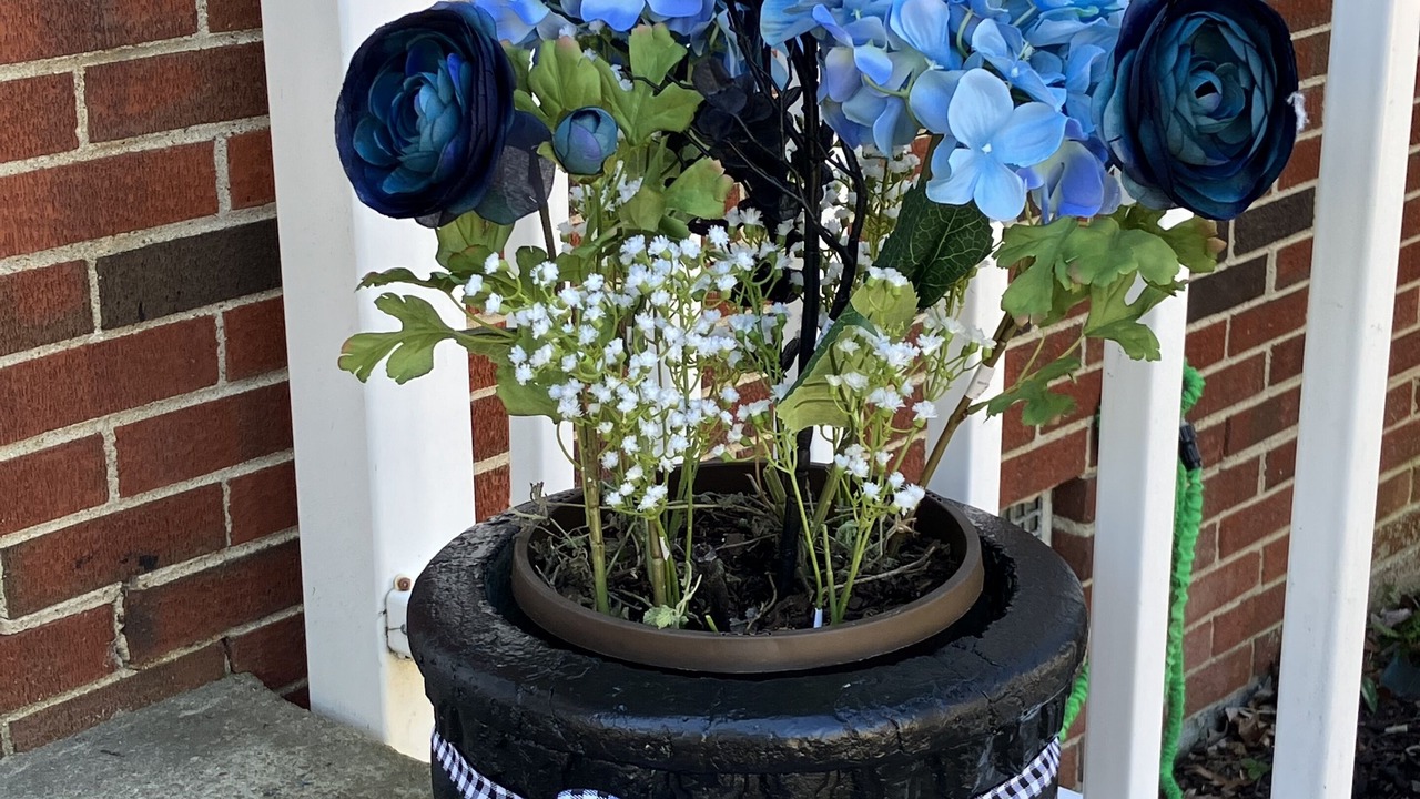 Photo of Outdoor in South Richmond