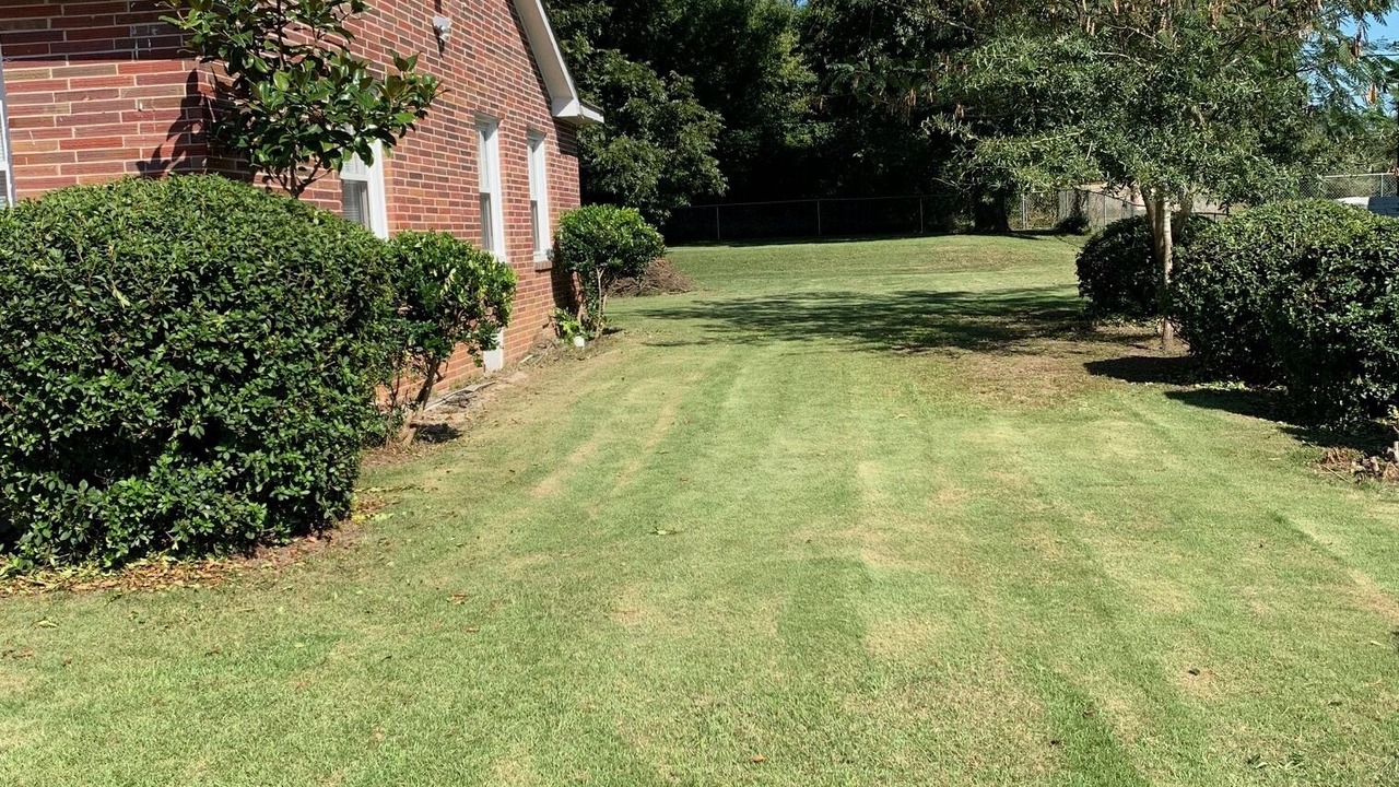 Photo of Outdoor in Tuskegee