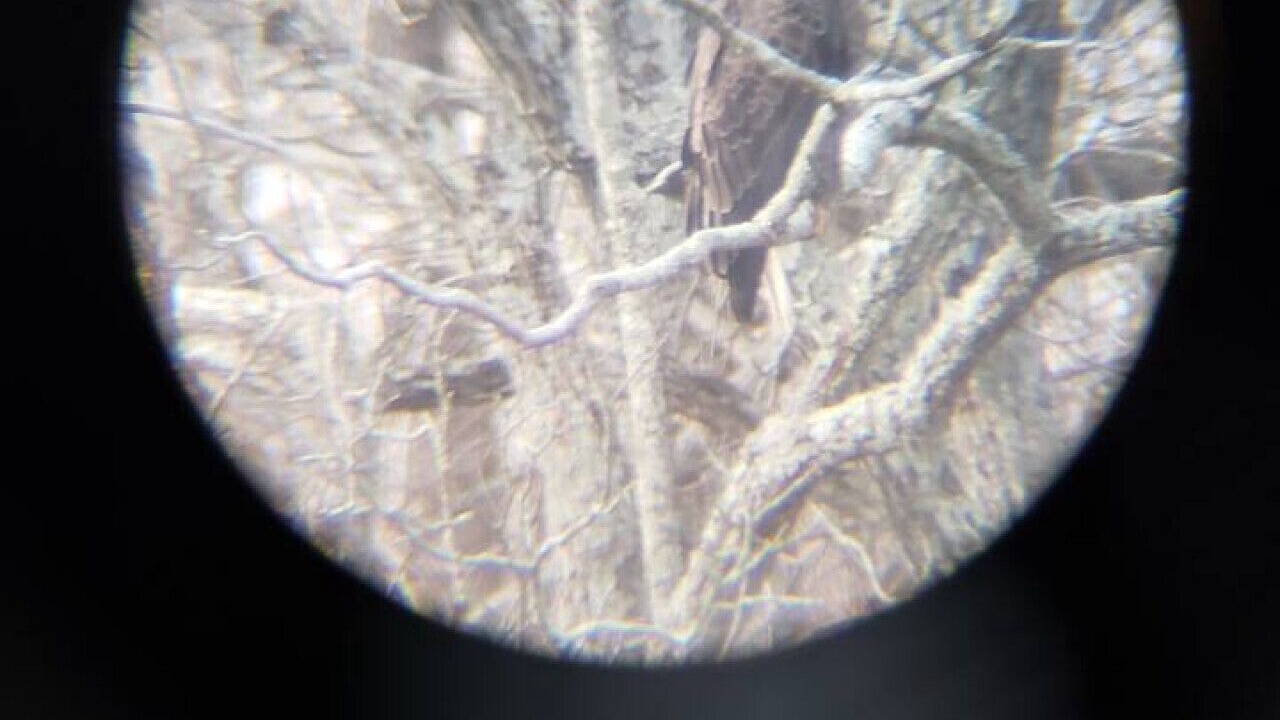 Photo of Others in Stewartstown