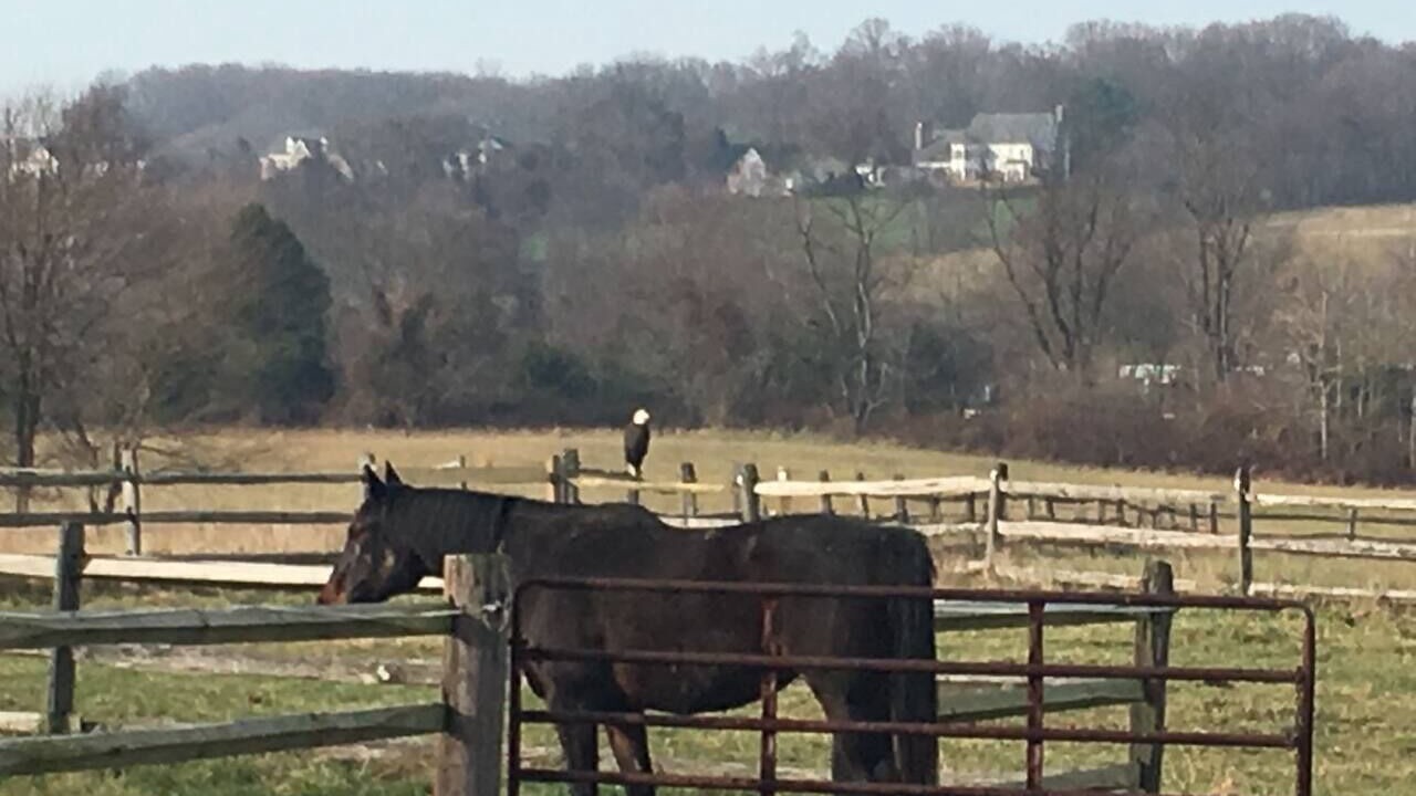 Photo of Outdoor in Darnestown