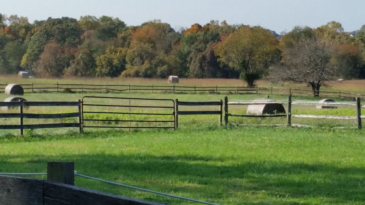 Photo of Outdoor in Darnestown