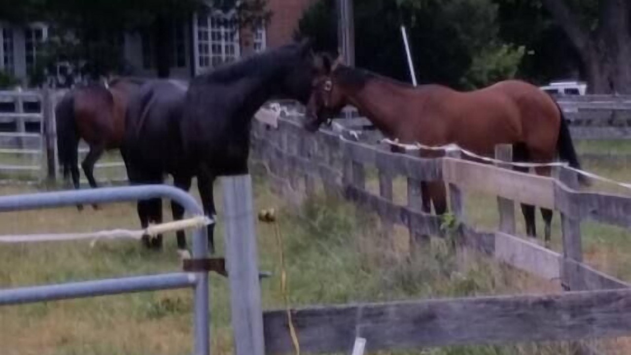 Photo of Outdoor in Darnestown