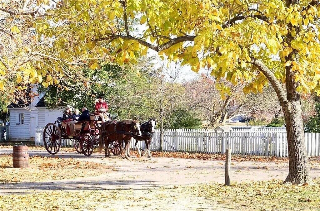 Photo of Others in Kingsmill