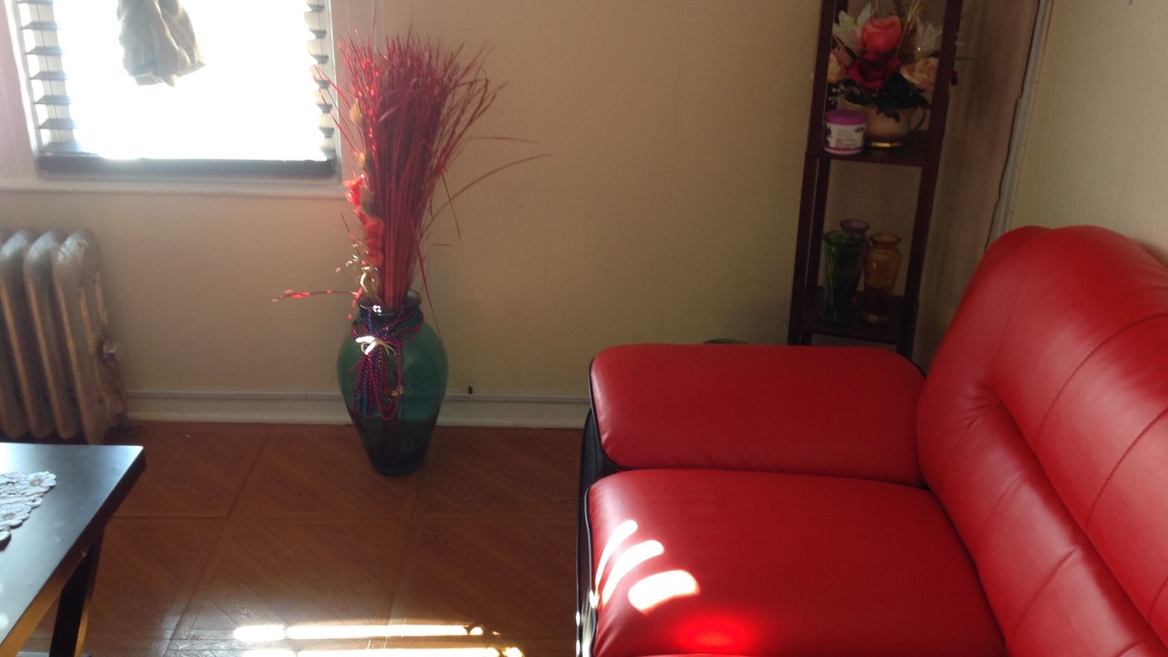 Photo of Livingroom in Canarsie
