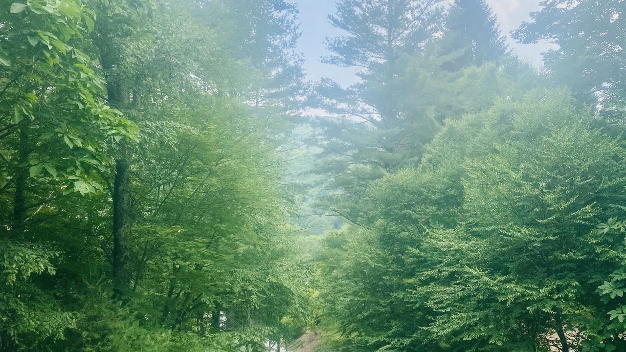 Photo of Outdoor in Banner Elk