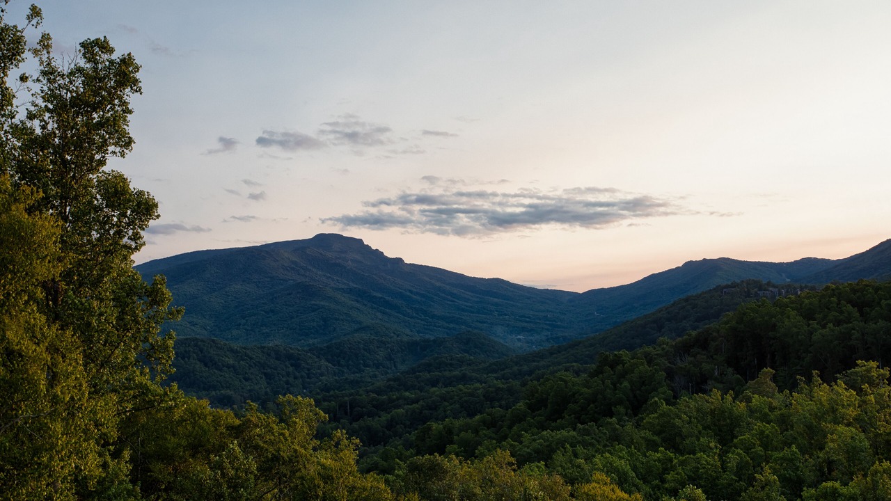 Photo of Others in Boone