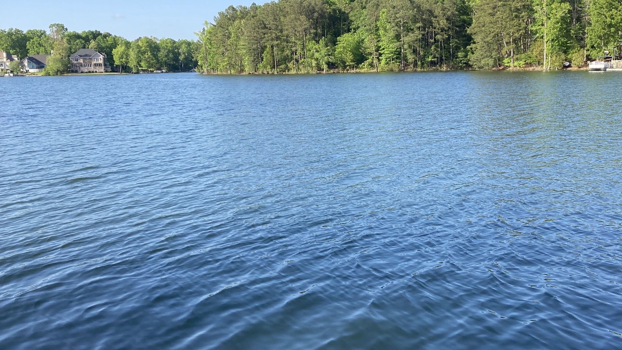 Photo of Outdoor in Lake Murray of Richland